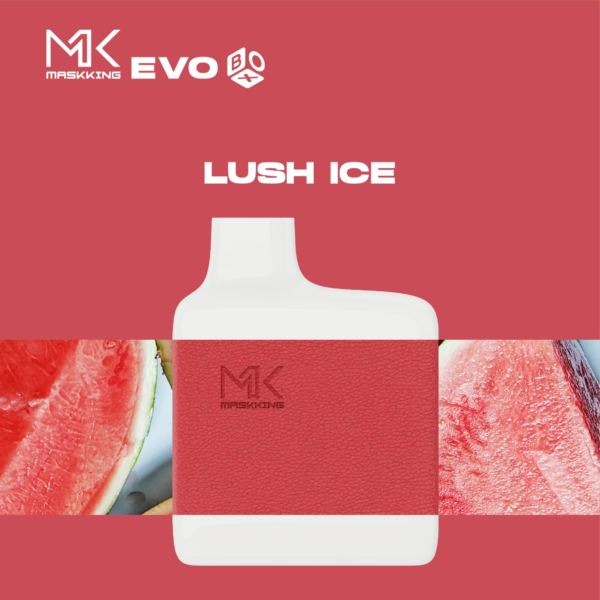 1-16e1.png Maskking evo box