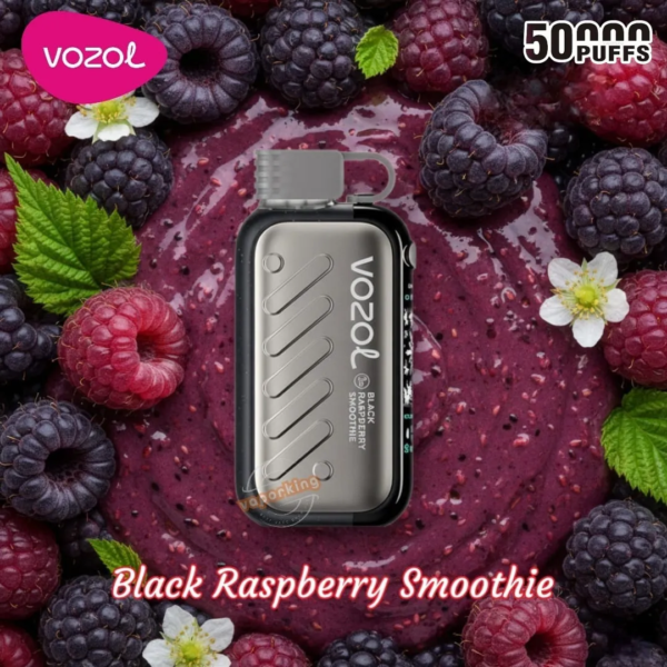 Vozol Gear 50K