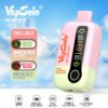 1-6966.jpg Vapsolo Dg18000