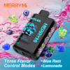 2-15034946f9.png MerryMi Wiflux 24000