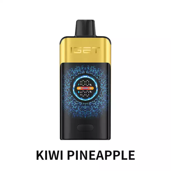 2-153029f853.png Iget One 12000