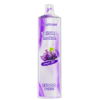 Vapme Shisha 15000