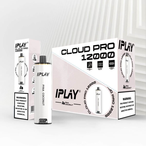 4-1185.jpg Iplay cloud pro 12000