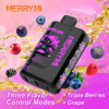 4-1503491d87.png MerryMi Wiflux 24000