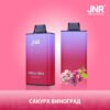 JNR Mega Box 25000 puffs