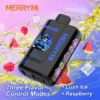 5-1503495762.png MerryMi Wiflux 24000