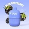 Iplay ecco