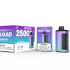 Elfworld Reloda 25000 Battery
