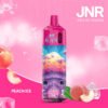 6Peach-Ice-3cb3.jpg Jnr Alien 10000 Puffs