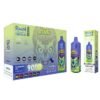 RANDMTORNADO9000PRODISPOSABLEVAPEDEVICEWITHBATTERYANDEJUICEDISPLAYWHOLESALE9000PUFFS-2-528e.jpg Randm torando 9000 pro