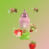 STRAWBERRYKIWI-64e0.jpg ELF BOX bk12000