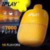 Iplay ecco
