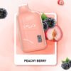 iplay-vibar-peachy-berry-4f35.jpg Iplay vibar