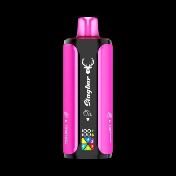 Stag Bar 6 in 1 disposable vape