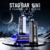 Stag Bar 6 in 1 disposable vape