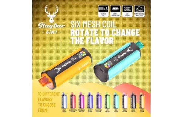 Stag Bar 6 in 1 disposable vape