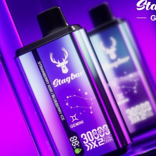 Stag Bar Gemini 30000 disposable vape