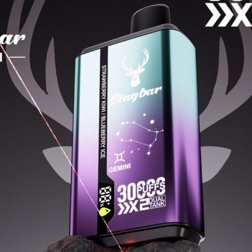 Stag Bar Gemini 30000 disposable vape