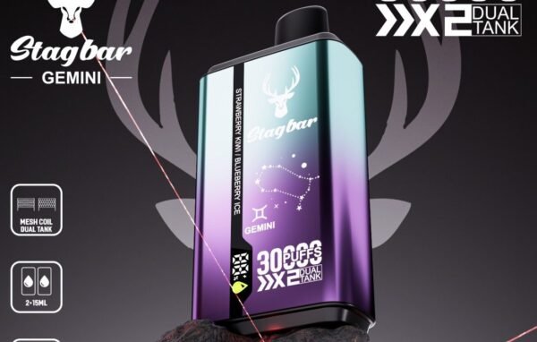 Stag Bar Gemini 30000 disposable vape