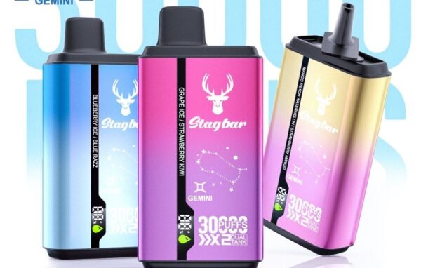 Stag Bar Gemini 30000 disposable vape