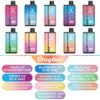 Stag Bar Gemini 30000 disposable vape