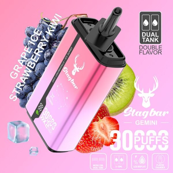 Stag Bar Gemini 30000 disposable vape