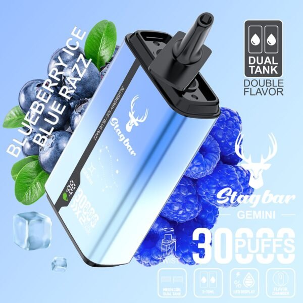 Stag Bar Gemini 30000 disposable vape
