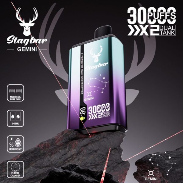 Stag Bar Gemini 30000 disposable vape
