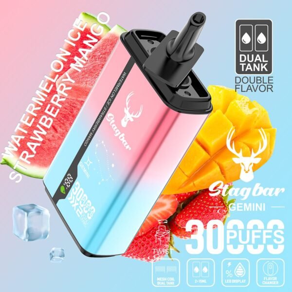 Stag Bar Gemini 30000 disposable vape