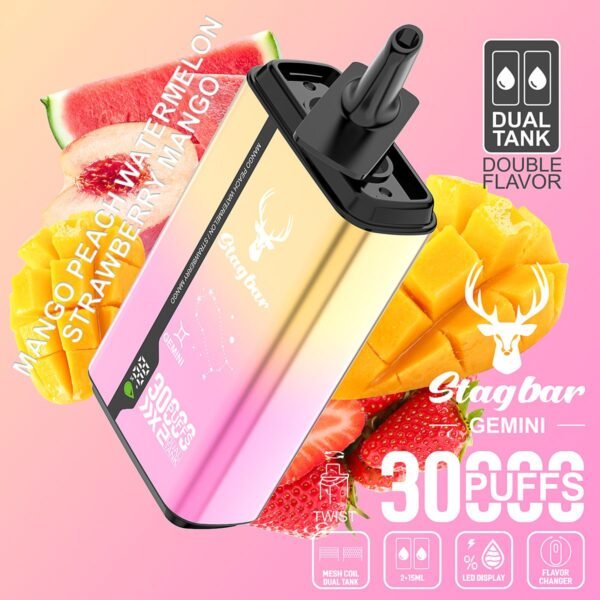 Stag Bar Gemini 30000 disposable vape