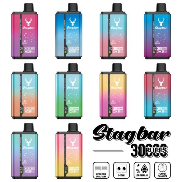 Stag Bar Gemini 30000 disposable vape