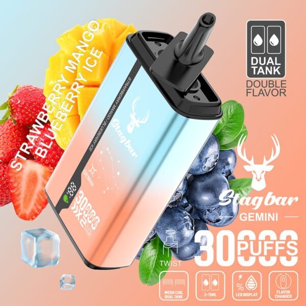 Stag Bar Gemini 30000 disposable vape