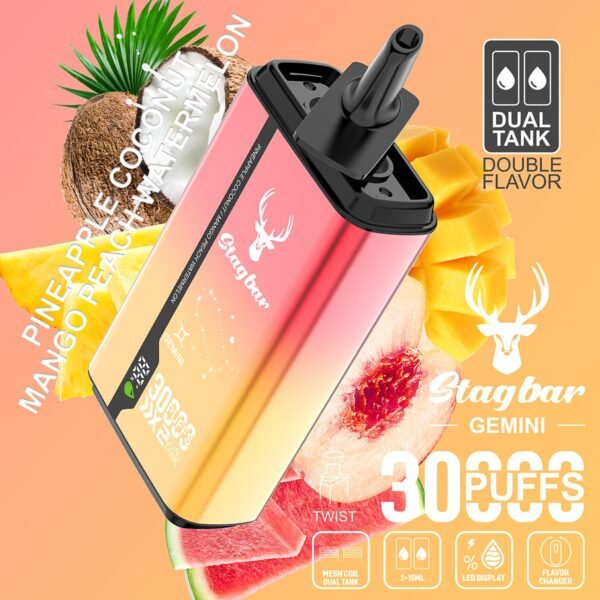 Stag Bar Gemini 30000 disposable vape
