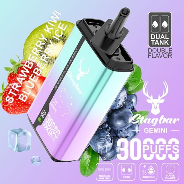 Stag Bar Gemini 30000 disposable vape