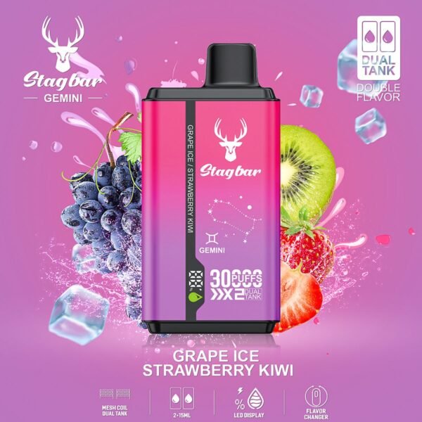 Stag Bar Gemini 30000 disposable vape