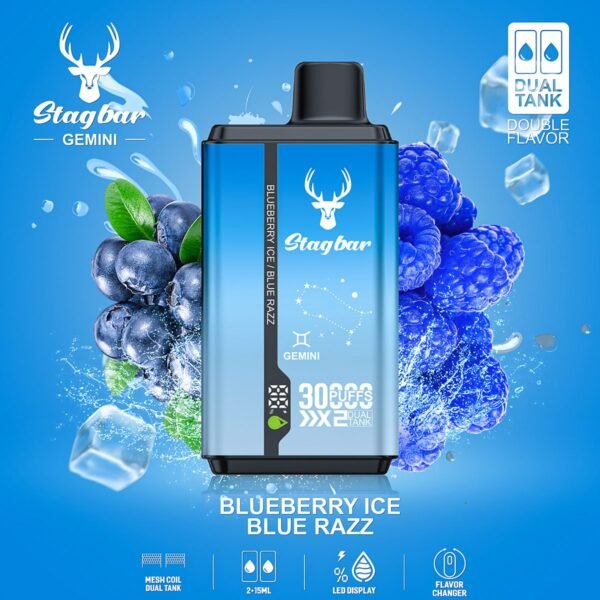 Stag Bar Gemini 30000 disposable vape