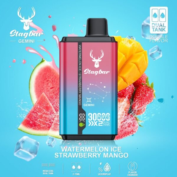 Stag Bar Gemini 30000 disposable vape