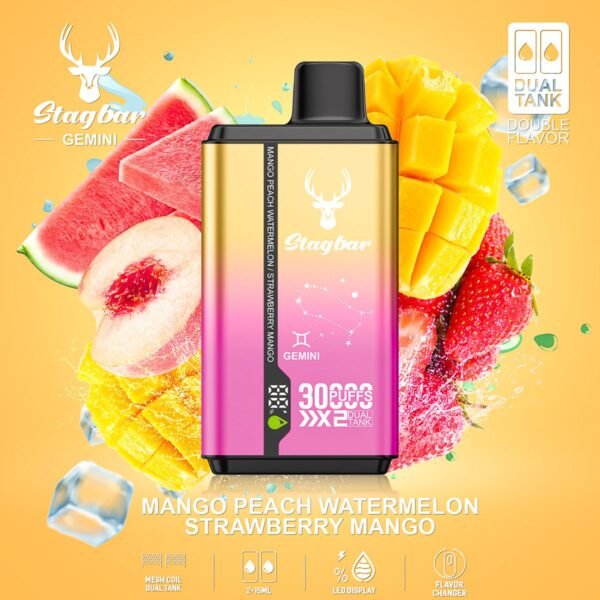 Stag Bar Gemini 30000 disposable vape