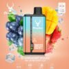 Stag Bar Gemini 30000 disposable vape