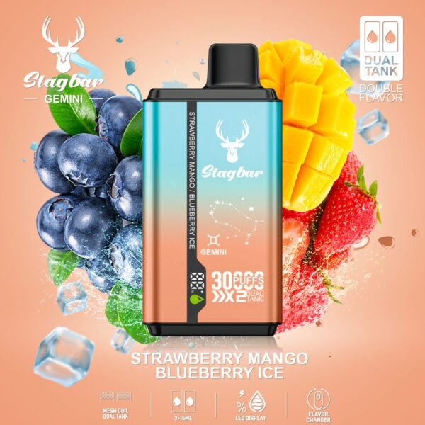 Stag Bar Gemini 30000 disposable vape