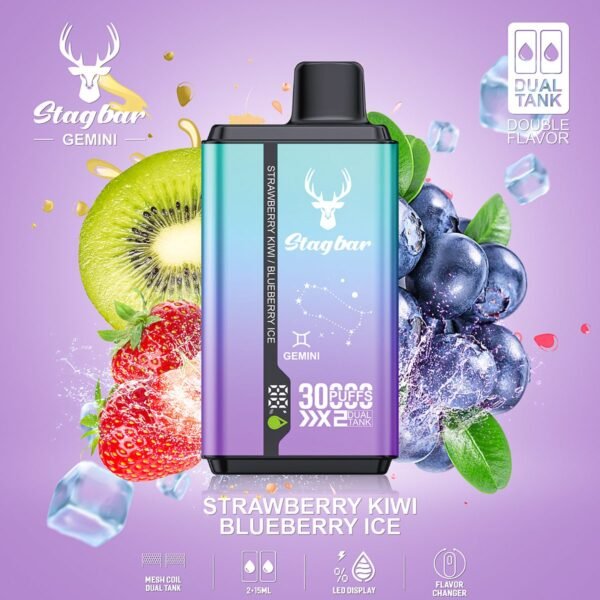 Stag Bar Gemini 30000 disposable vape