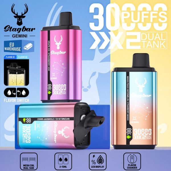 Stag Bar Gemini 30000 disposable vape