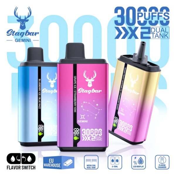 Stag Bar Gemini 30000 disposable vape